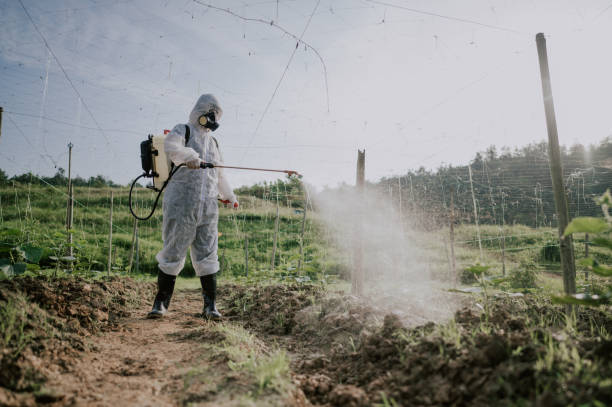 Best Mosquito Control Services  in Fairfield Bay, AR