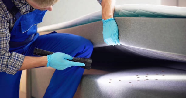 Best Ant Control Services  in Fairfield Bay, AR