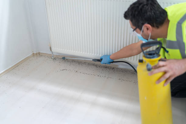 Professional Pest Control in Fairfield Bay, AR